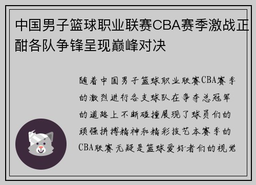 中国男子篮球职业联赛CBA赛季激战正酣各队争锋呈现巅峰对决